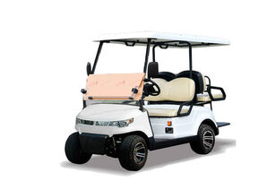 Marshell DG-C2+2-8 coche de golf nuevo