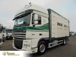 DAF XF 105.460 + Horse truck + Lift + Euro 5 camión para caballos