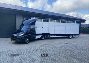 IVECO Iveco Daily 40C17  BE vontató élőállat szállító szerelvénnyel camión para transporte de ganado + remolque para transporte de ganado