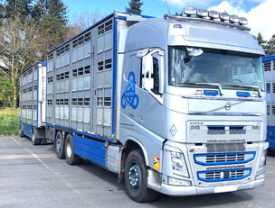 VOLVO FH 540  camión para transporte de ganado + remolque para transporte de ganado