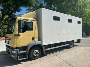 MAN Pferdetransporter camión para caballos