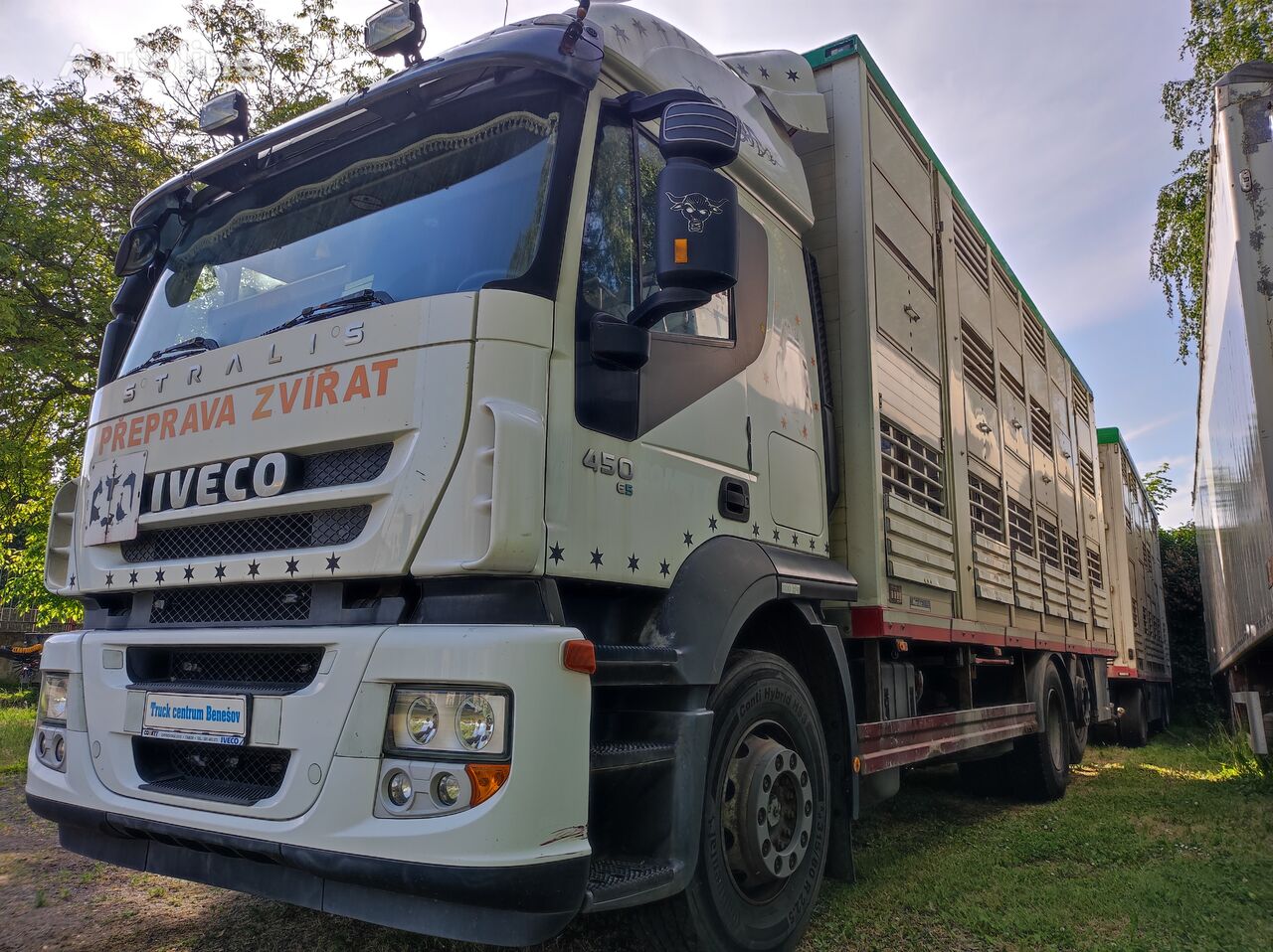 IVECO AT 260S45 camión para transporte de ganado + remolque para transporte de ganado