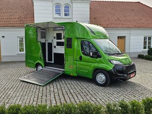 Peugeot Boxer transportador de caballos